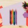 Pencils 12 flowers BIC Kids Evolution Ecolutions, children's, shock -resistant, plastic