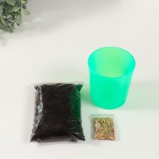 Set for growing plants 