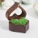 Casket for rings "heart", green pillow, dark tree