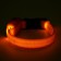 The collar luminous narrow for small dogs, 26 x 1.5 cm, yellow
