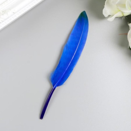 Decorative straight feathers, 10-15 cm (set 24 pcs) 6 colors, two-tone, assorted-1