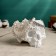 Skull stand "Skull with ornament" White, 13x17x11cm