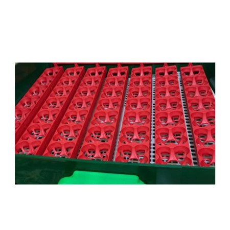 Incubator, 49 eggs, automatic coup, 120 in-2