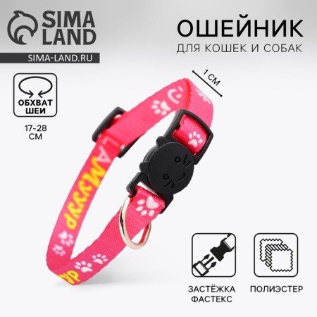 Collar for cats with Fasteks "Glamur", 30 x 1 cm