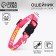 Collar for cats with Fasteks "Glamur", 30 x 1 cm