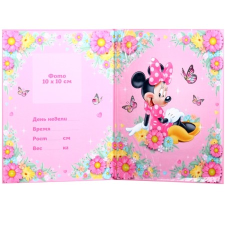 Folder for birth certificate, 1 file 21x30 cm, Minnie Mouse-3