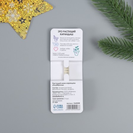 Growing gift pencils Mini "Blue spruce"-2