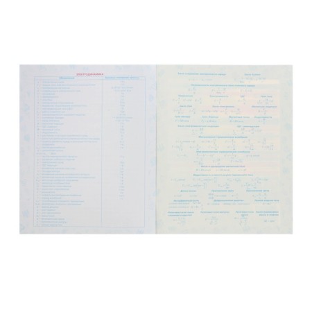 Notebook of 46 sheets in the “Daring Physics” cage, covered cardboard, matte lamination, selective varnish, with reference information-3
