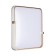 Lamp Olidi White LED 70W 3000-6000K 490x485 IP43, with PDU