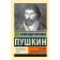 The story of the Pugachev riot. Pushkin A.S.