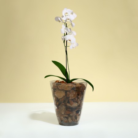 Pot for orchids, 1.5 l, 13 × 17 cm, plastic, transparent gray-2