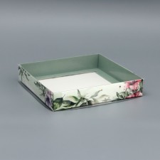 Box of the team with PVC lid, 