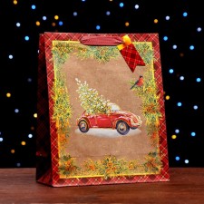 Gift package 