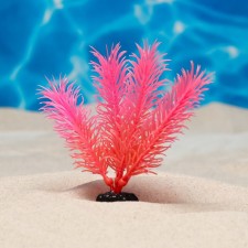 The artificial aquarium, luminous plant, 10 cm, red