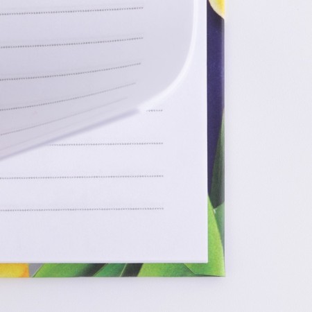 Diary in the gift box “The best teacher”, A5 format, 80 sheets, solid cover-9