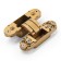 Loop of Lockland hidden installation, 30x110 mm, with 3D regulation, color matte gold