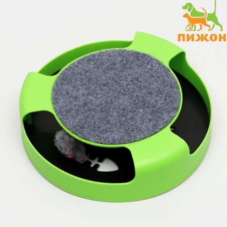 Game complex "Piggon" with a mobile mouse, green