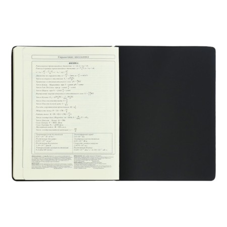 Diary 1-11 Grade "Kisul Vasily", artificial leather, foam, foil embossing, 48 sheets-13
