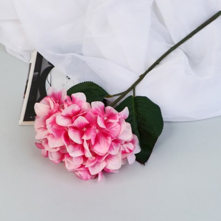 Flowers artificial "Elite hydration" D-16 cm 50 cm, pink