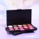 Palette of lip gloss from 15 shades