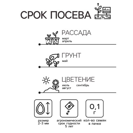 Kotovnik seeds "Dream Interpretation", 0.1 g-1