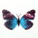 Magnet Plastic "Brilling butterfly" 12x9.5 cm