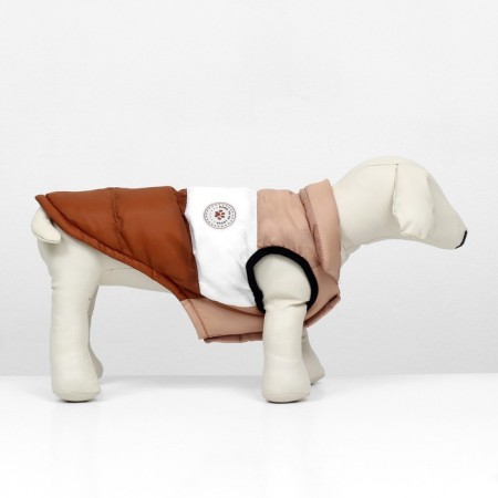 Jacket for dogs "Chocolate", size L (DS 37, OG 50, Osh 37), beige-brown-2