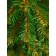 Christmas tree Green Trees "Southwest", 90 cm