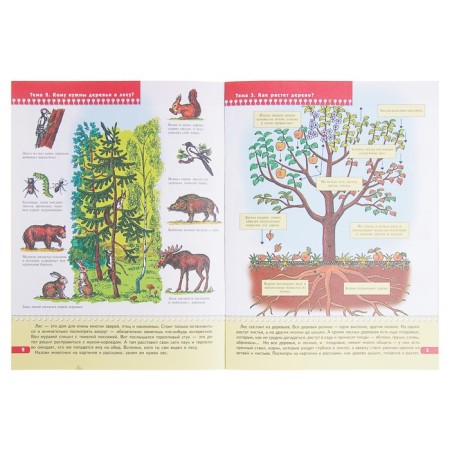 Full annual course from 6 to 7 years. 12 books with games and stickers. Denisova D.-8