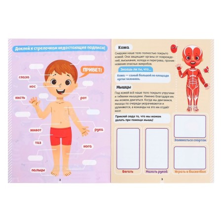Stickers "How my body works", 16 p.-2