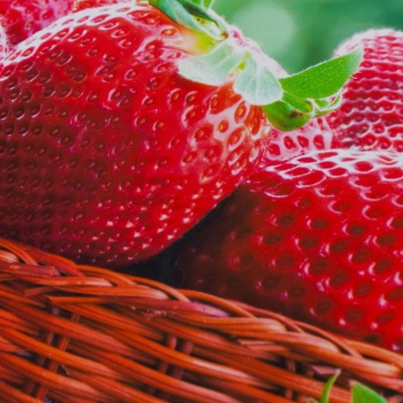 Joy Home Serving Napkin, Strawberry, 26x41 cm-1
