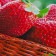 Joy Home Serving Napkin, Strawberry, 26x41 cm