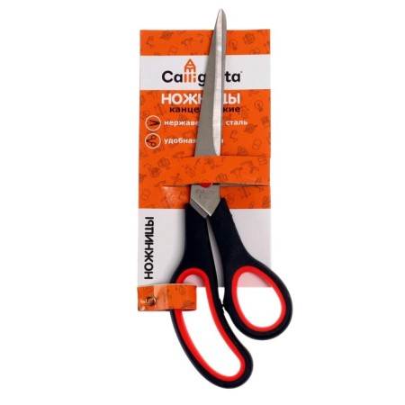 Office scissors 25 cm, plastic handles with rubber inserts-1
