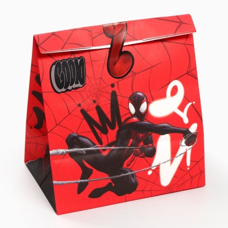 A set of craft packages with stickers, Spider-Man, 18x22x12 cm-4