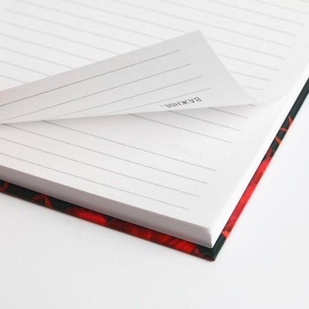 Diary in the gift box “On this spring day. Blave. ", 80 sheets-8