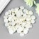 Set for creativity Half of the pearl d = 0.8 cm 20g