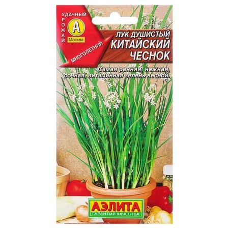 Fragrant onion seeds "Chinese garlic", many, 0.3 g