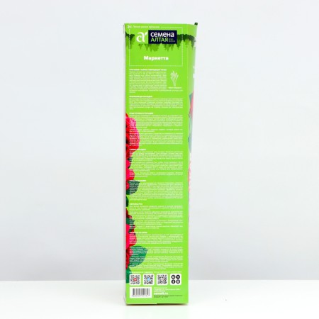 Sahenian Rosa Tea-Hybride "Marietta", 1 pc, spring 2024-2