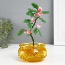 Bonsai souvenir 