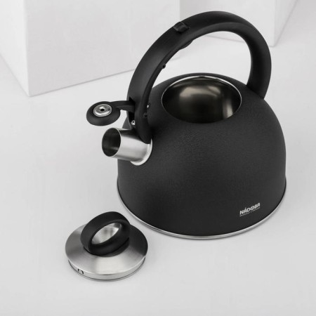 A kettle with a whistle Nadoba Anesa, 2.5 l-2