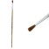 Ponya Brush No. 5, round