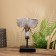 Souvenir "Elephant Head" on a stand, Albezia 35 cm