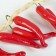 Flood "Peppers Red" ligament 12 pcs, 45 cm
