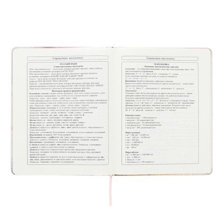 Universal diary for grades 1-11 Inspiration, hard cover, artificial leather, foil embossing, tinted block, 48 sheets-9