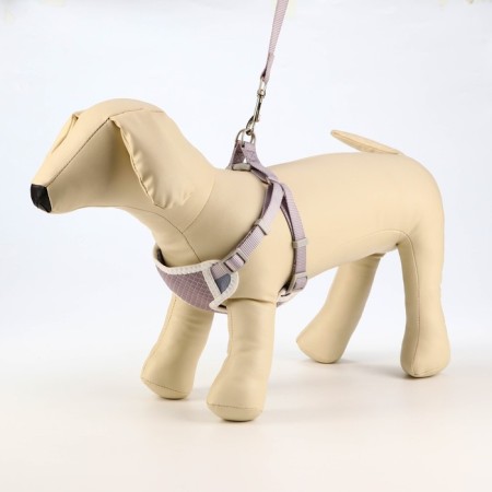 A set of ammunition with a soft harness, m, leash 120 x 1.5 cm, Osh 26-48 cm, OG 26-48 cm, gray.-1