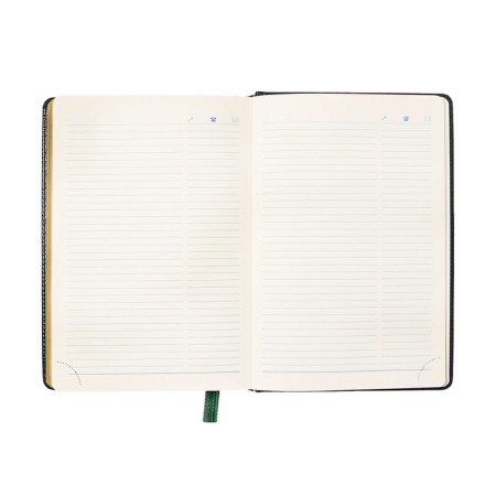 Dated diary of 2025, A5, 168 sheets in the ruler, leatherette "Nebraska", gold cut, green-12