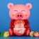 DEMALLY LEARY "DAI JEA!", Pig, 13 g