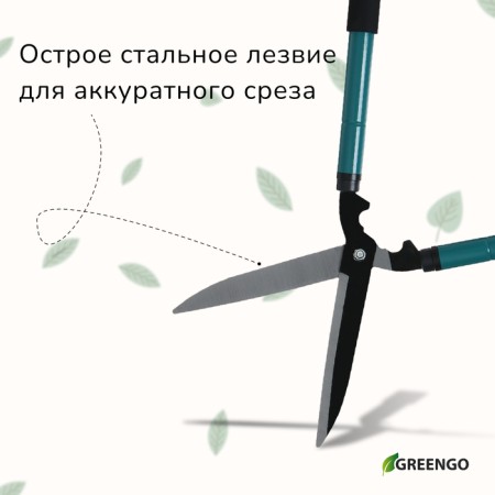 Kustorez, 22–28.5 "(56–73 cm), telescopic, with foam handles, with a case, color mix, Greengo-4