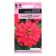 Seeds of Zinnia "Zakhara", cherry, 5 pcs.