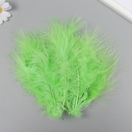 A set of decorative feathers "needlework", 20 pcs (lime color), pen length 13-16 cm-2